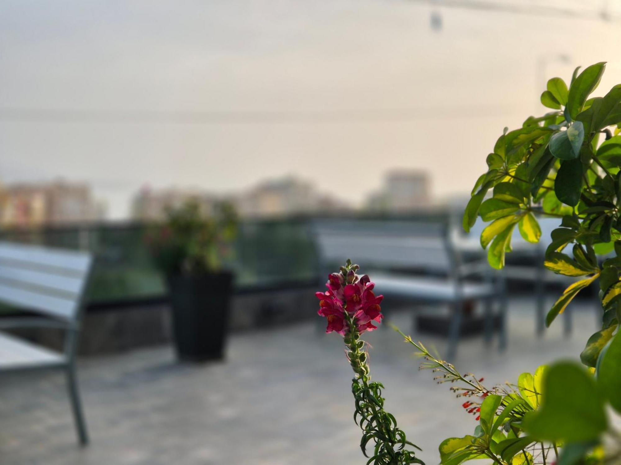 Flore Rooms Sarandë 外观 照片